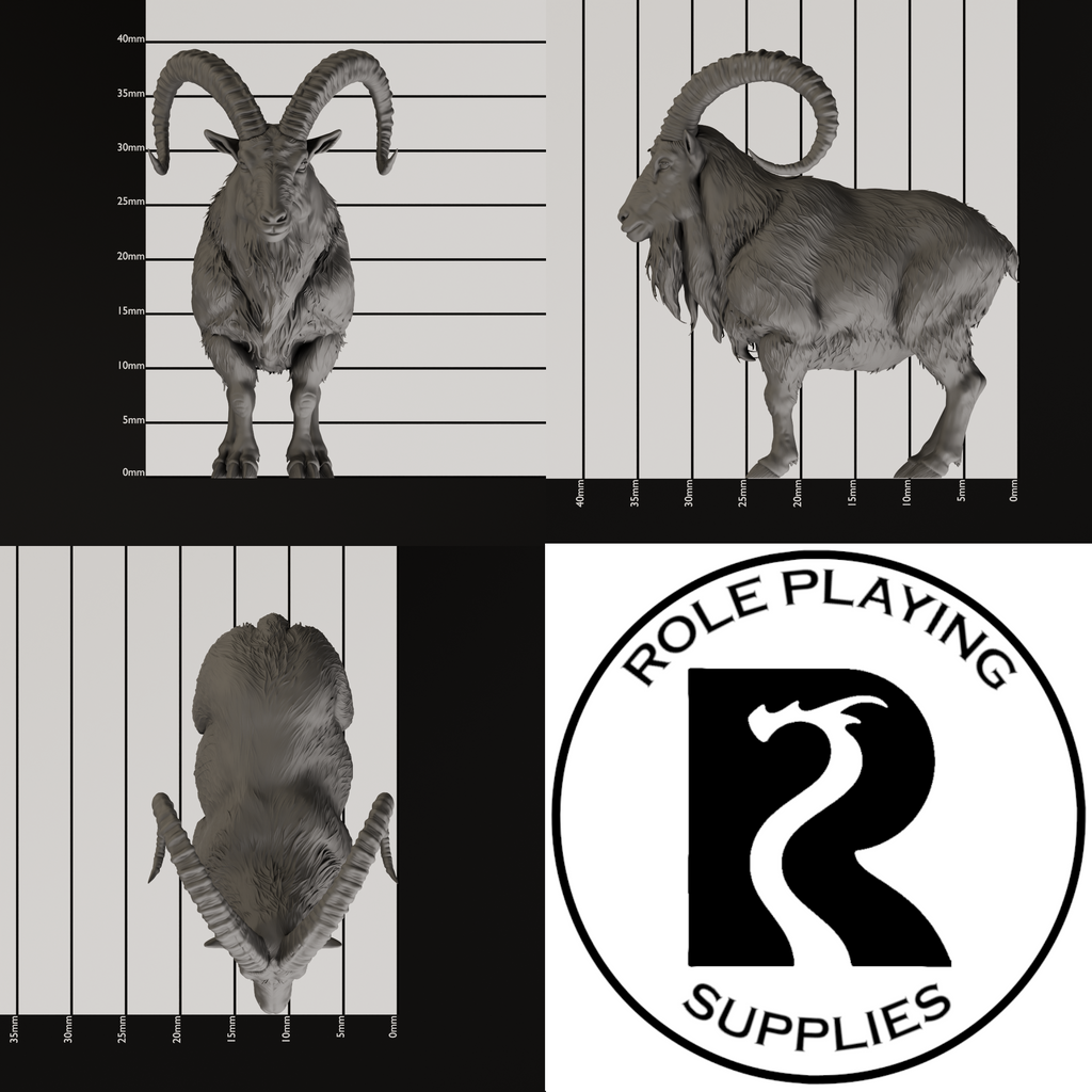 A dnd miniature giant goat, photo showing all 3 angles with sizes in mm.