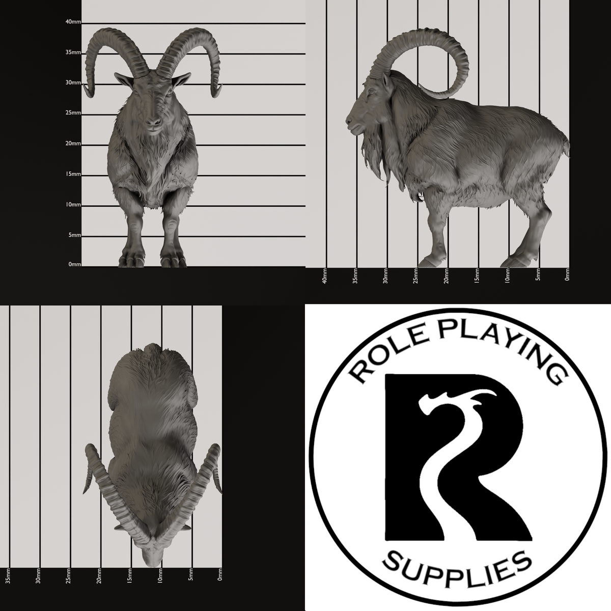 A dnd miniature giant goat, photo showing all 3 angles with sizes in mm.