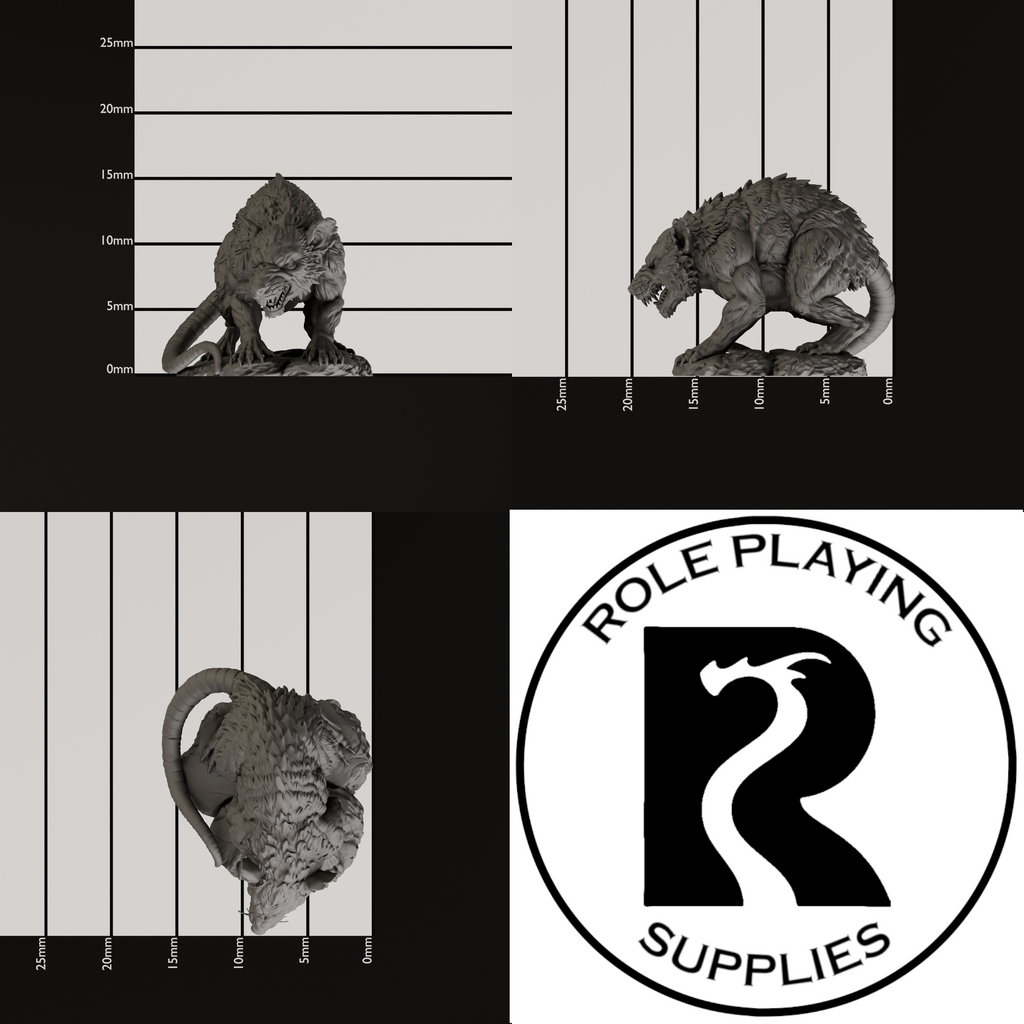 A dnd miniature giant rat, photo showing all 3 angles with sizes in mm.
