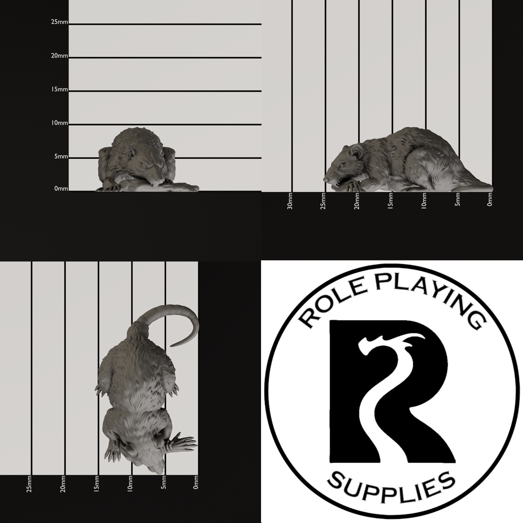 A dnd miniature giant rat, photo showing all 3 angles with sizes in mm.
