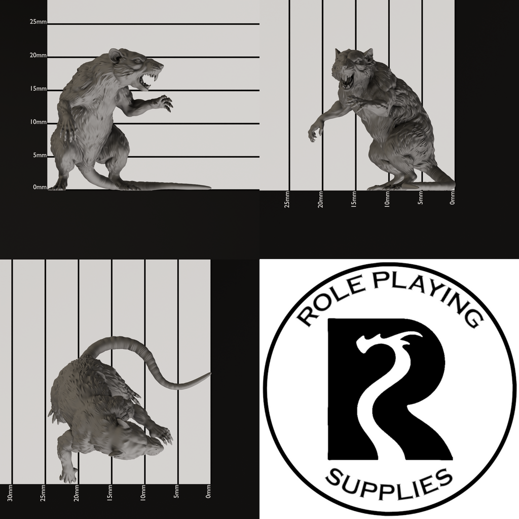 A dnd miniature giant rat, photo showing all 3 angles with sizes in mm.
