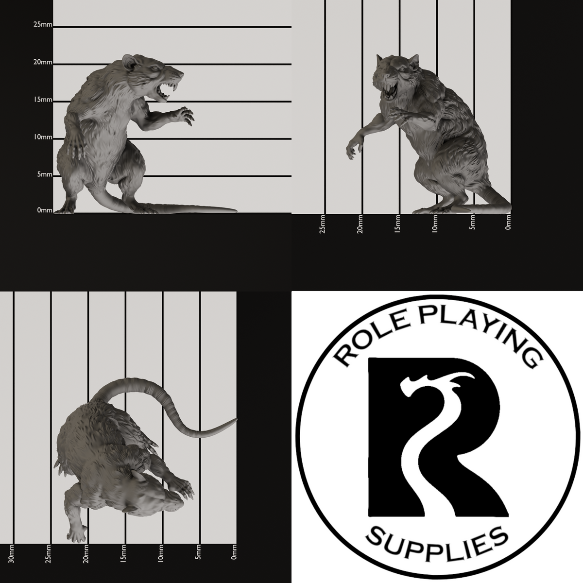 A dnd miniature giant rat, photo showing all 3 angles with sizes in mm.
