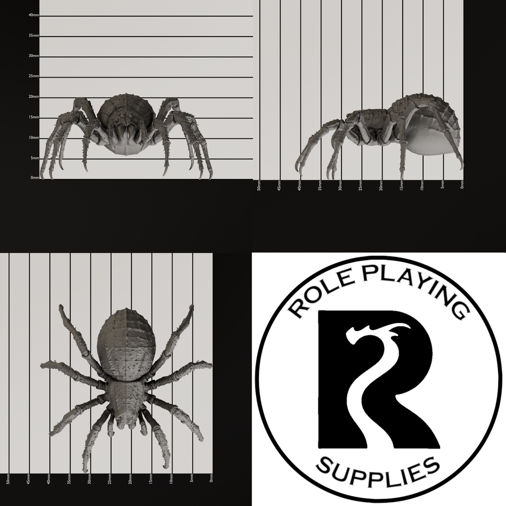 A dnd miniature giant spider, photo showing all 3 angles with sizes in mm.