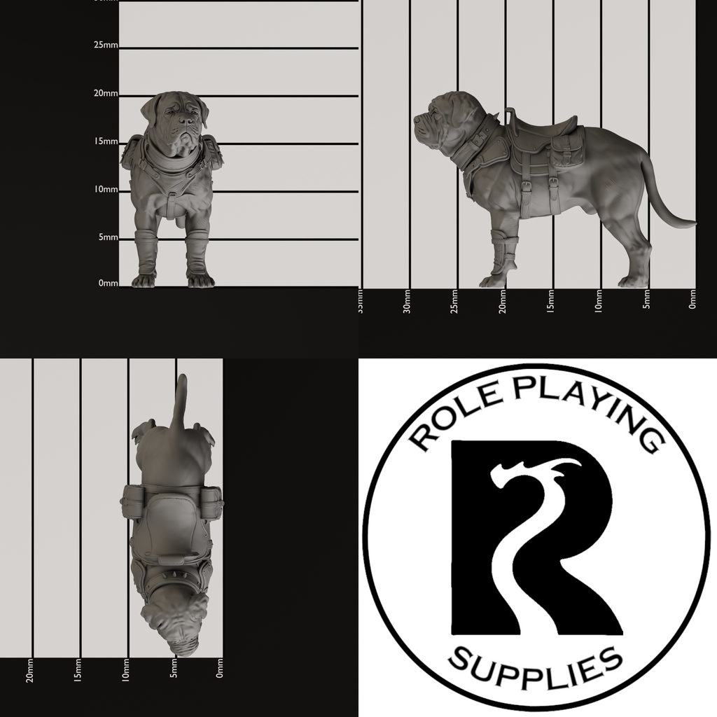 A dnd miniature mastiff, photo showing all 3 angles with sizes in mm.