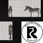 A dnd miniature mule, photo showing all 3 angles with sizes in mm.