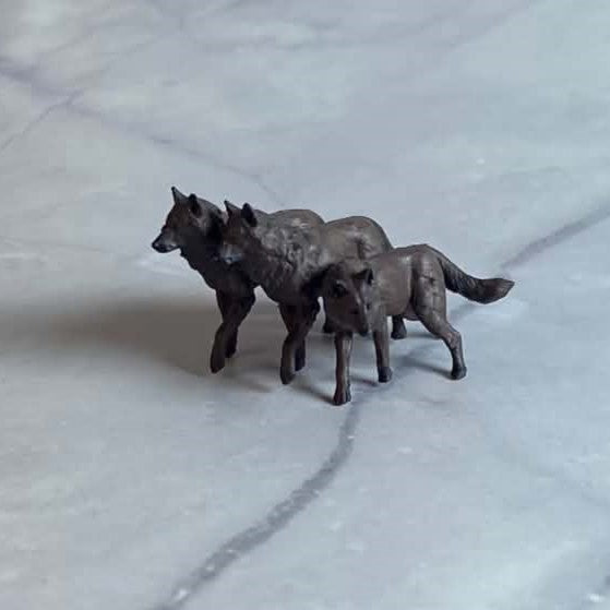 Wolf