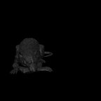 A dnd miniature giant rat AR model.
