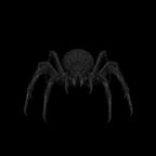 A dnd miniature giant spider AR model.
