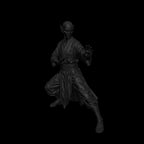 A dnd miniature githzerai zerth AR model.
