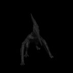 A dnd miniature pteranodon AR model.
