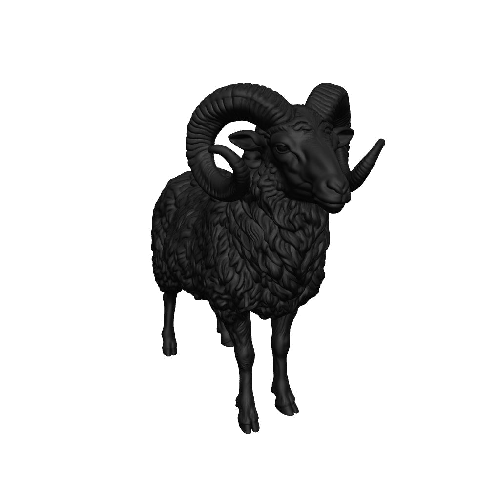 Sheep 28mm Resin Miniature