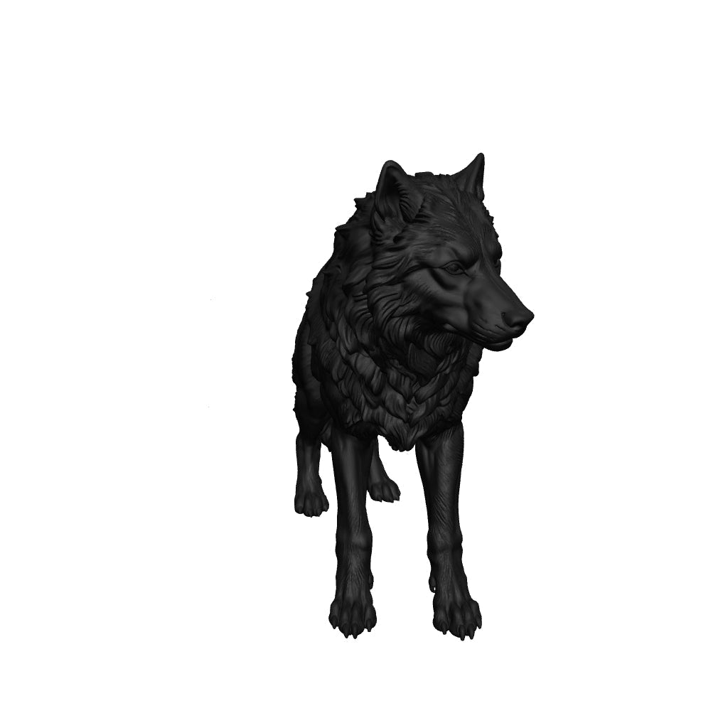 Wolf